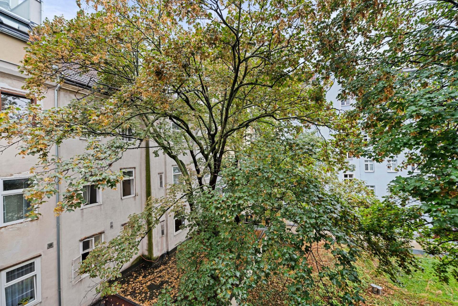 Cozy, Generous City Apartment - 10 Min To City-Centre - Contactless 24H Check-In Wien Exteriör bild